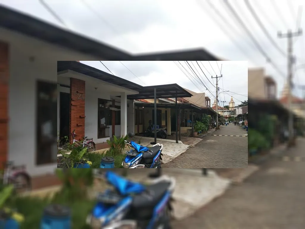 WhatsApp Image 2023-02-03 at 15.40.52.jpeg